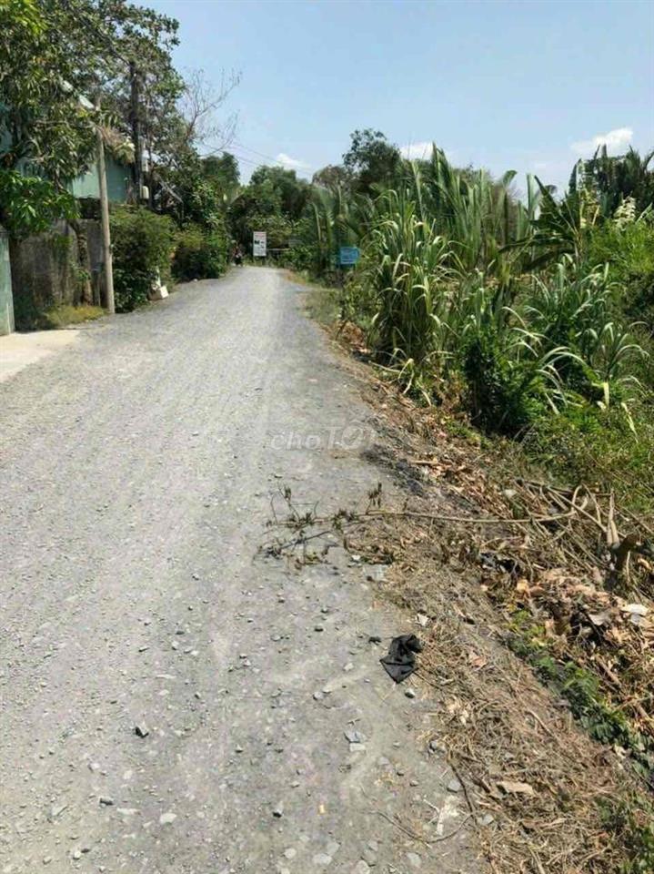 🏡 ĐẤT PHONG PHÚ – 115M² – GIÁ 1,8 TỶ