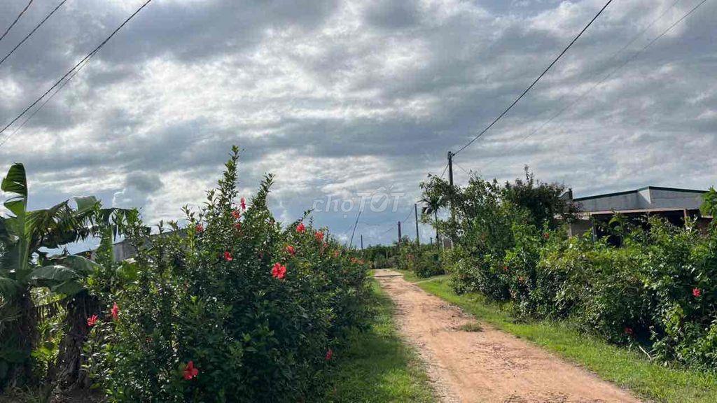 CHÍNH CHỦ BÁN 2,1 HA ĐẤT Ở GIÁ SIÊU RẺ