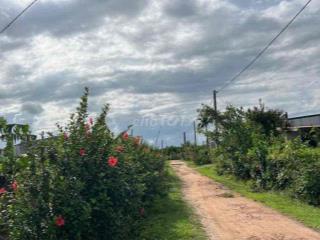CHÍNH CHỦ BÁN 2,1 HA ĐẤT Ở GIÁ SIÊU RẺ
