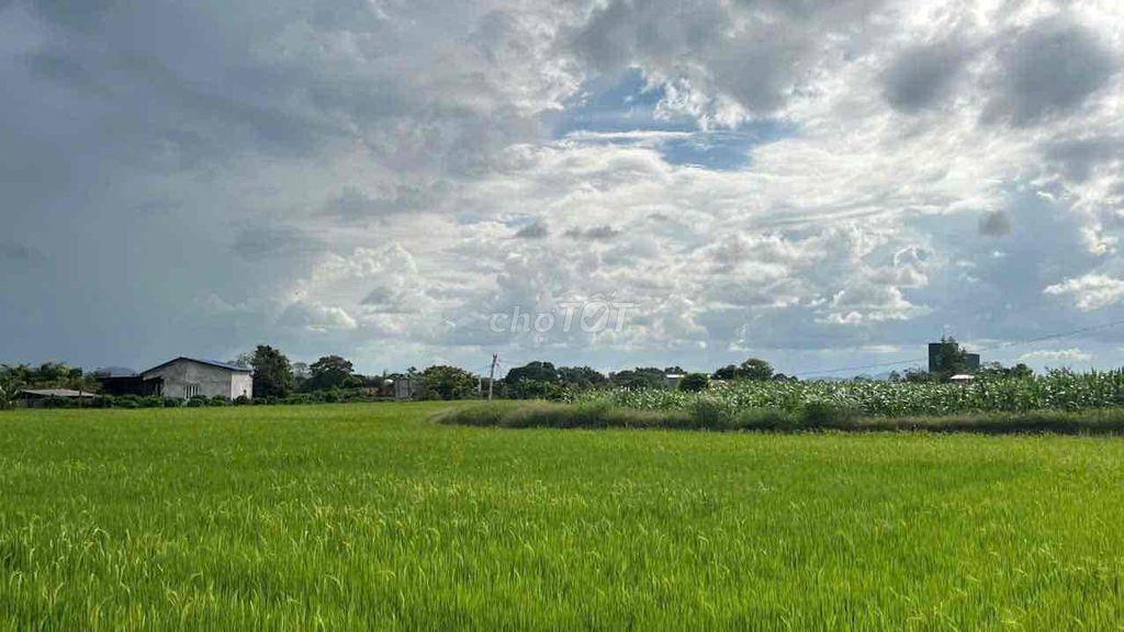 CHÍNH CHỦ BÁN 2,1 HA ĐẤT Ở GIÁ SIÊU RẺ