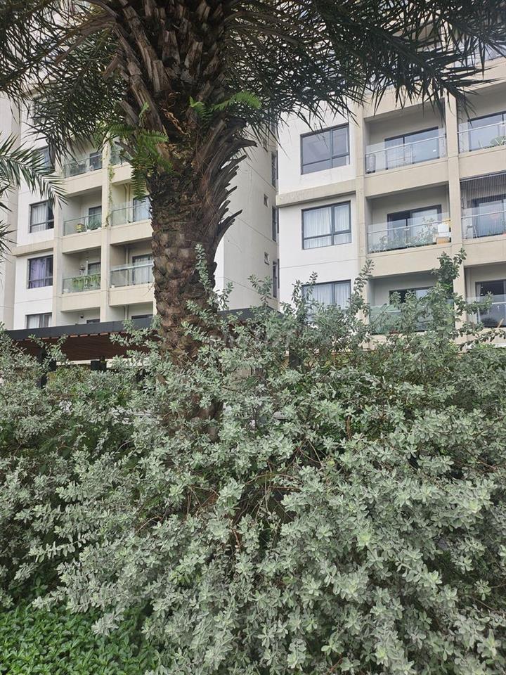 Bán căn hộ Everrich Infinity 45m2