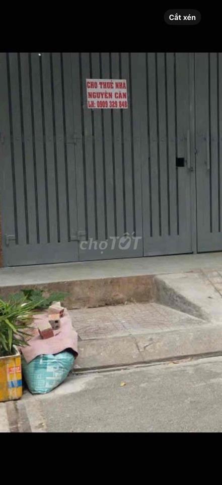 Chính chủ cho Thuê NNC 4x20