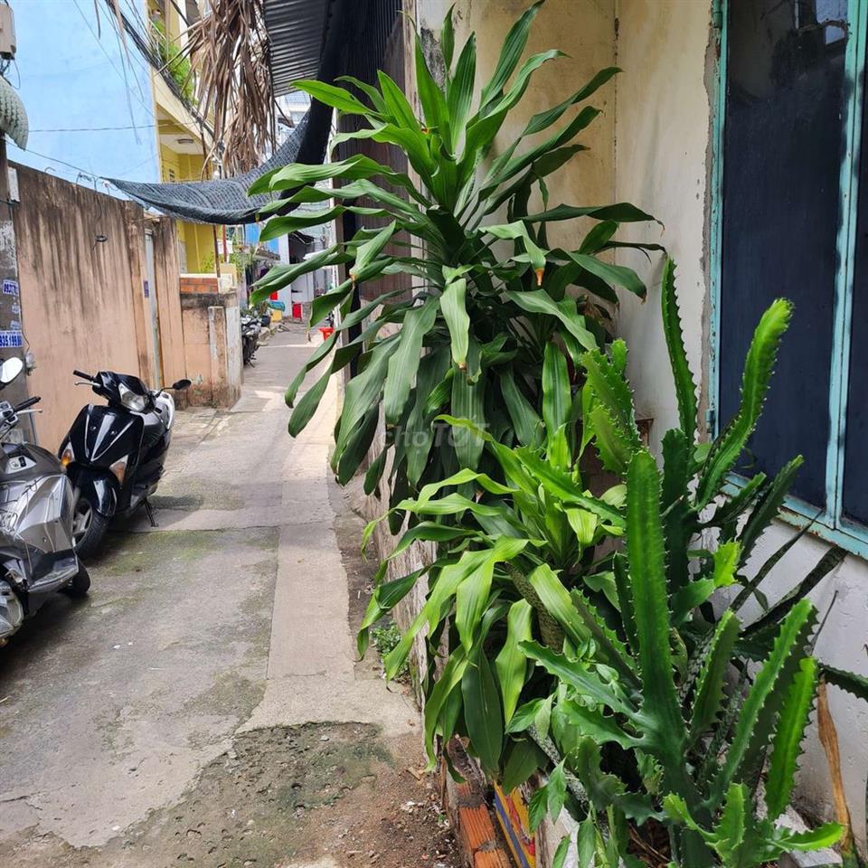 phòng già rẻ