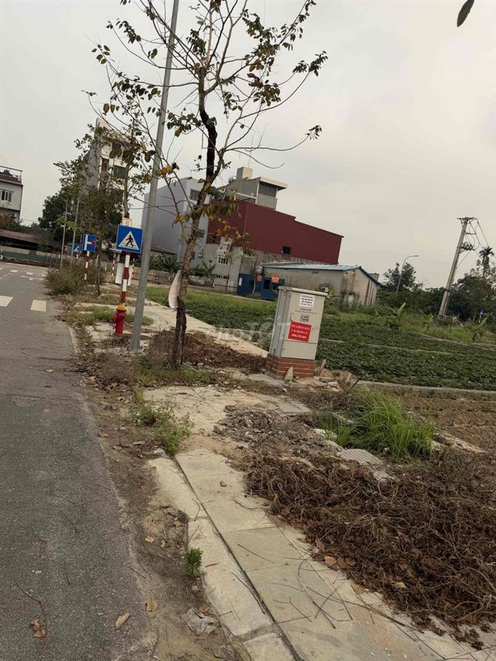 BÁN ĐẤT TÁI ĐỊNH CƯ THƯ LÂM