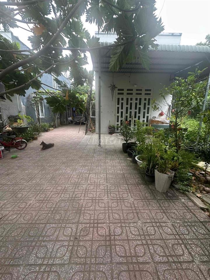 cho thuê nhà nguyên căng gần trường tiểu học định hoà 2