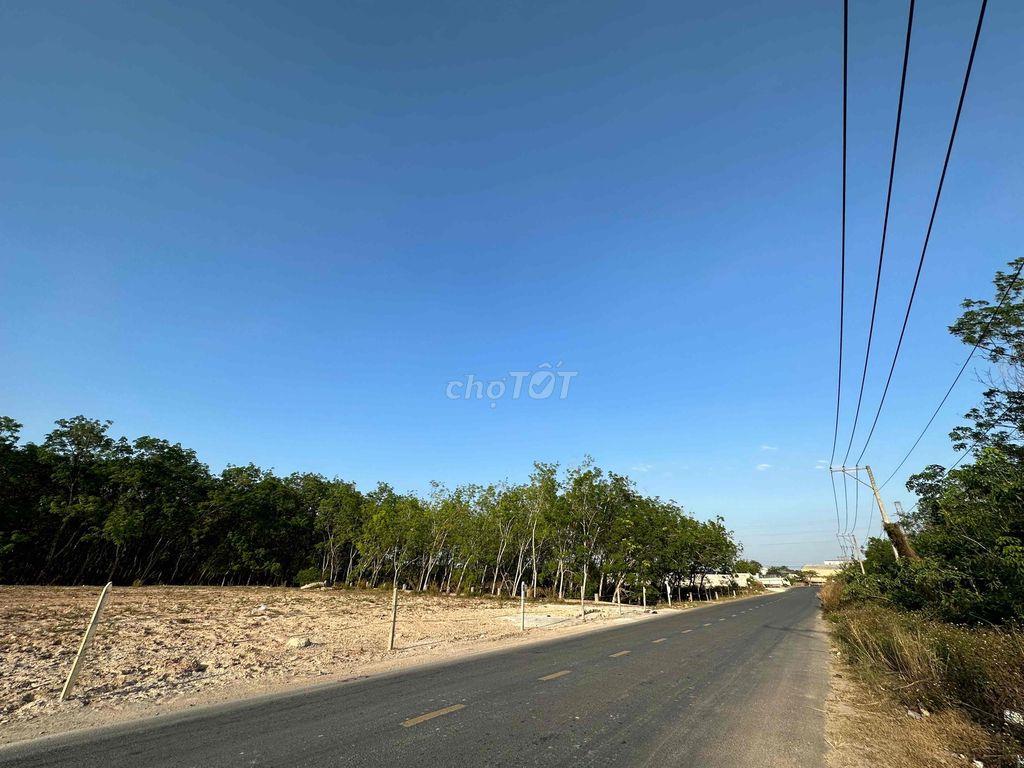 Cho thuê đất mặt tiền Trần Đại Nghĩa 361m² – Đẹp làm showroom, gara