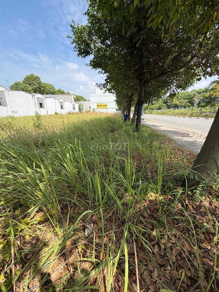 Cho thuê đất mặt tiền 200m² Hòa Lợi – rộng đẹp, đa mục đích