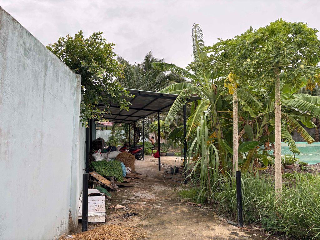 Bán đất ở đường Gò Xoài (Sát bên Waterpoint)