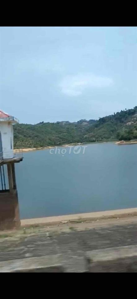 Chính chủ bán 6000m2 đất đồi view hồ Đà Tẻ Lâm Đồng