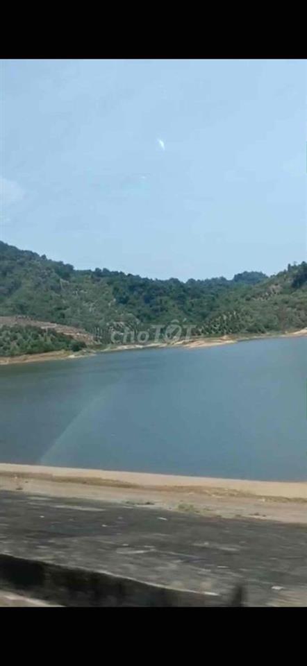 Chính chủ bán 6000m2 đất đồi view hồ Đà Tẻ Lâm Đồng