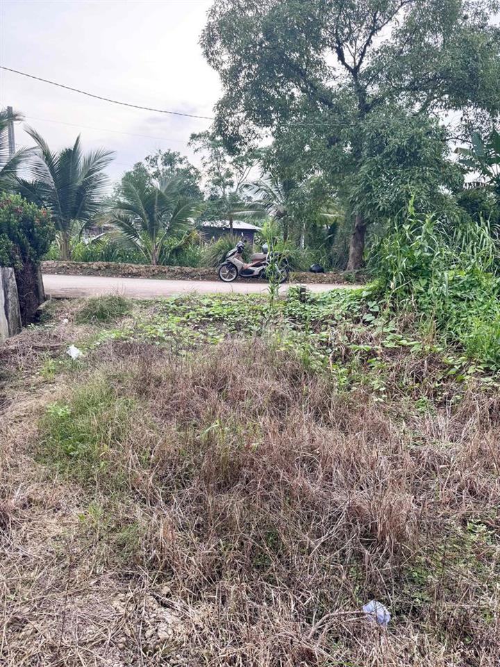 BÁN NỀN THỔ CƯ 70M² LỘ Ô TÔ – PHONG ĐIỀN, CẦN THƠ