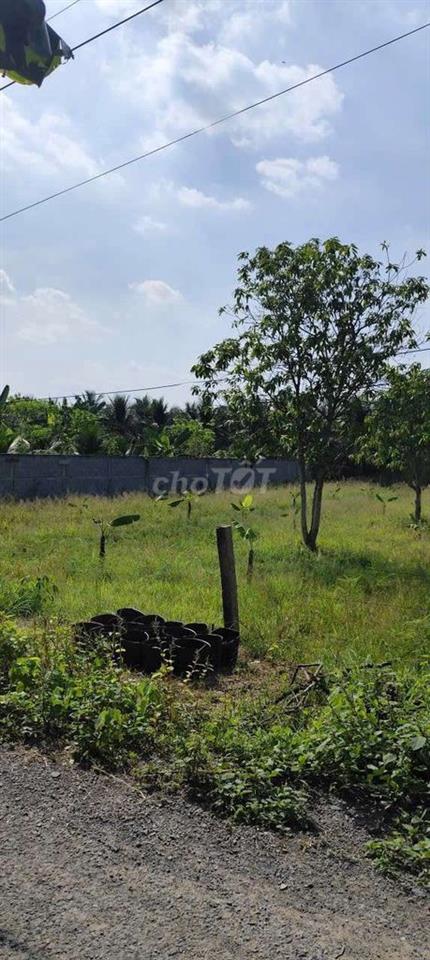 đất mặt tiền đường nhựa giá rẻ