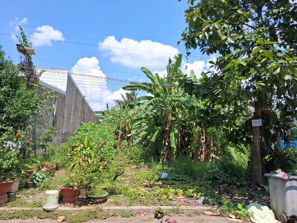 Chính chủ cần bán nền đẹp