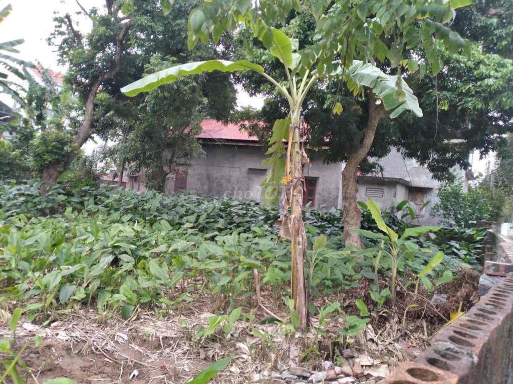 Đất La Phù Thanh Thuỷ