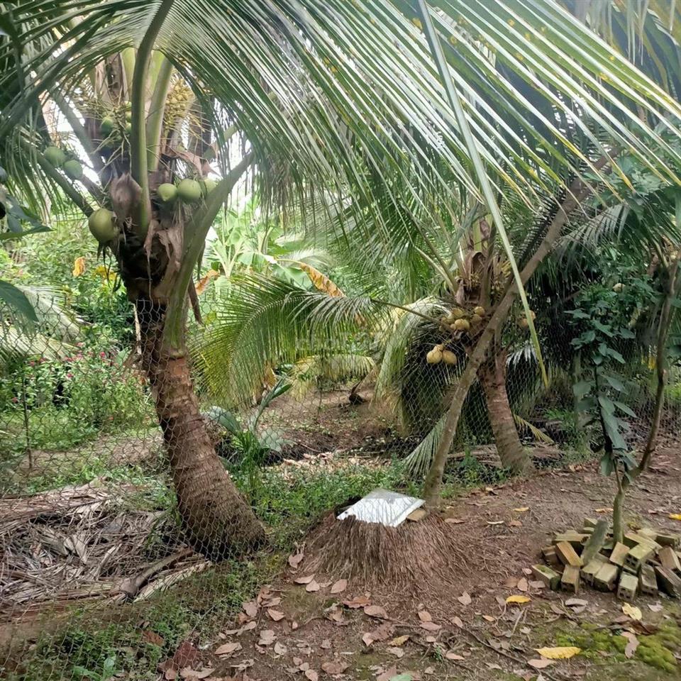 cần bán nhà và đất vào ở liền