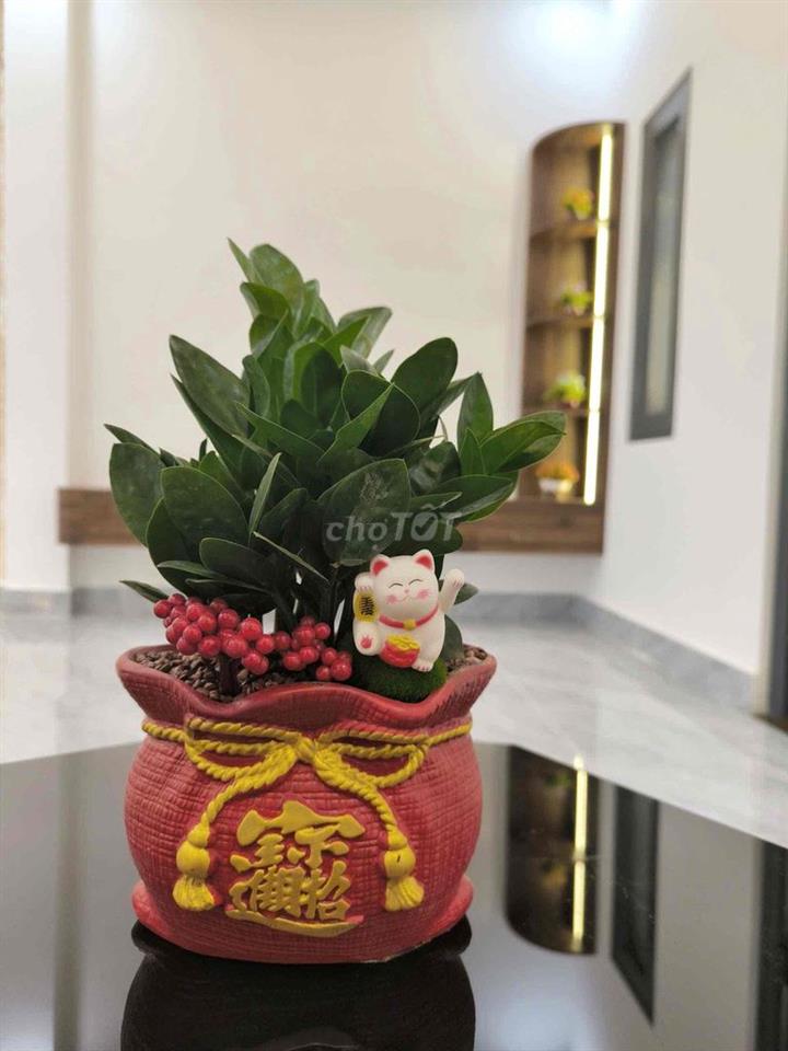 Chính chủ cần bán nhà 3 tầng MT Nguyễn Nhược Pháp