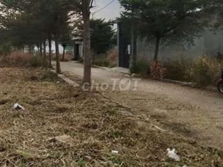 Cần bán đất KDC Sông trầu , P. Trảng bom. Đồng nai .