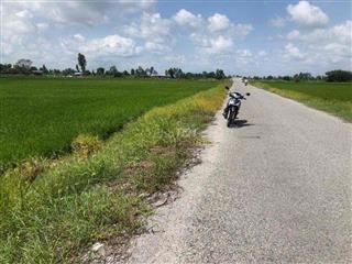 BÁN ĐẤT CHÍNH CHỦ THỊ TRẤN MINH LƯƠNG GIỤC TƯỢNG HUYỆN CHÂU THÀNH