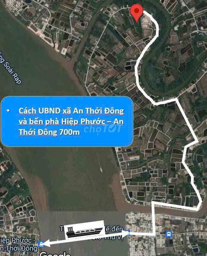 cần bán đất hoặc hợp tác