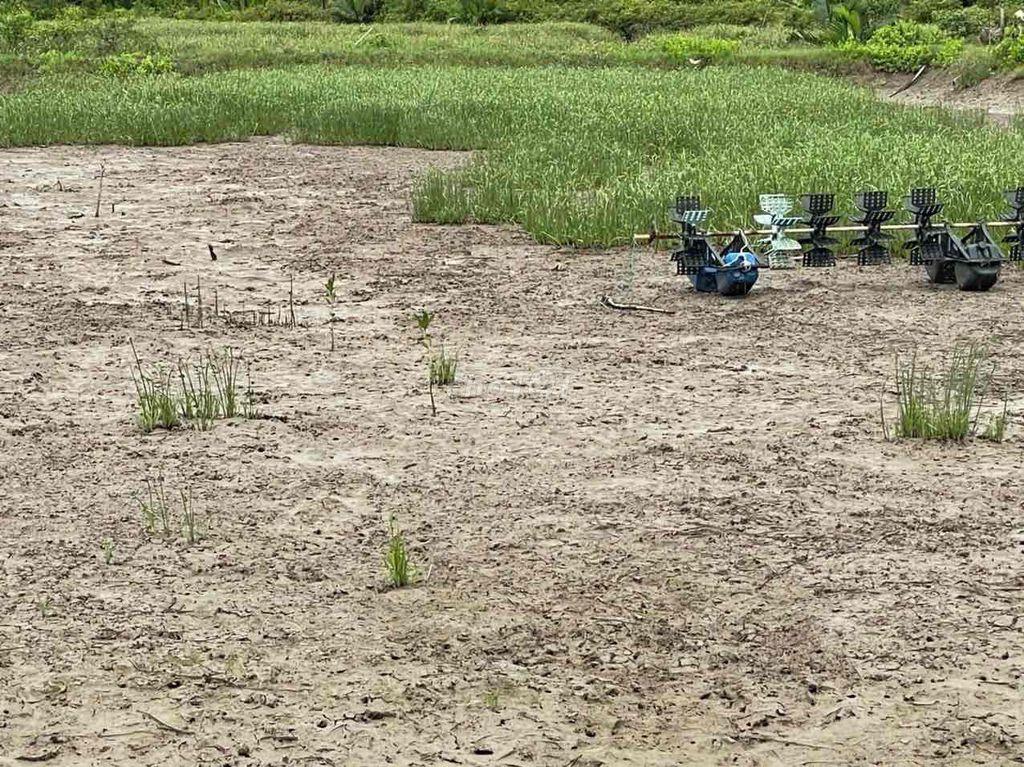 cần bán đất hoặc hợp tác