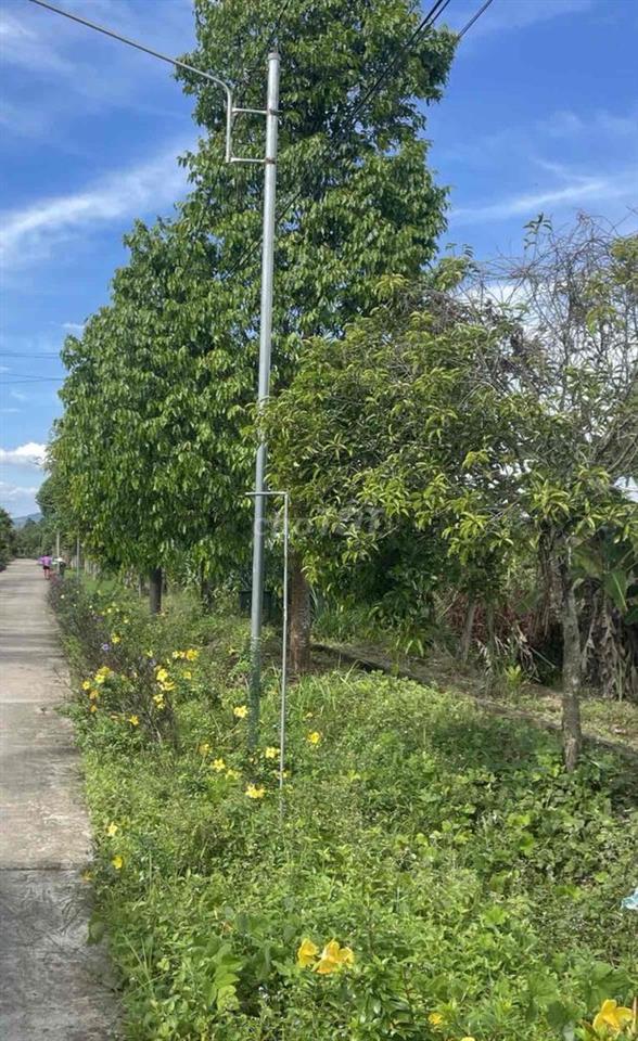 Đất mặt tiền nhựa xe ô tô vi vu, gần hồ Đạ Tẻh