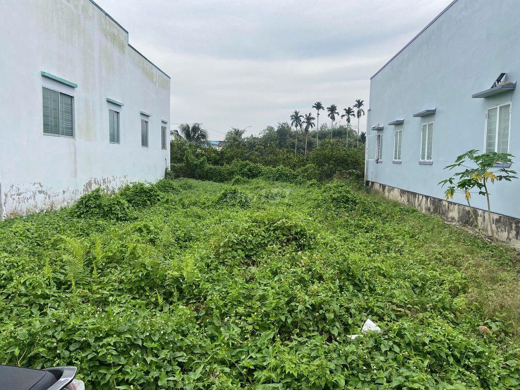 Sang đất 10m x20m Thạnh Hoà, Bến Lức. Sổ hồng riêng!