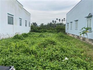 Sang đất 10m x20m Thạnh Hoà, Bến Lức. Sổ hồng riêng!