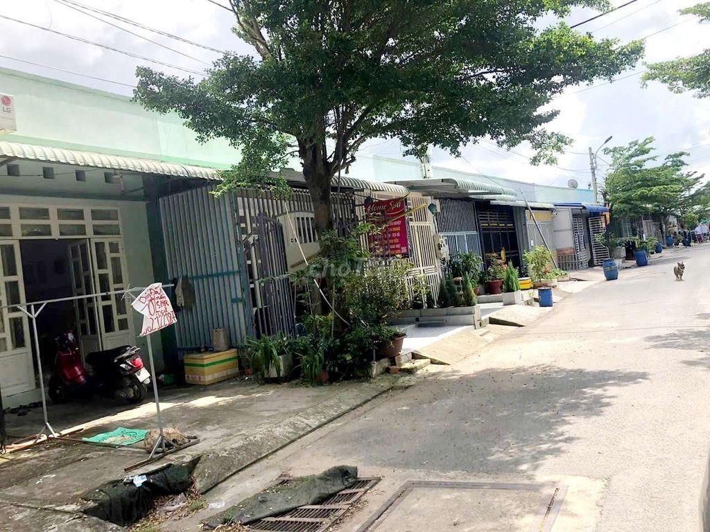 Bán nhà cấp 4