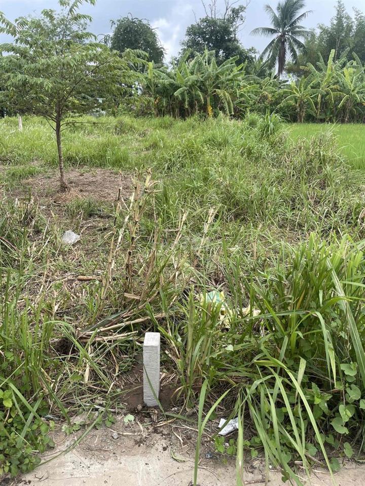 bán đất Mỹ Lệ Long An