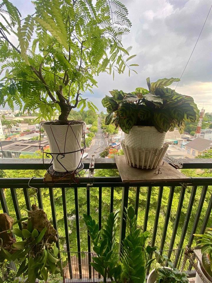 Bán căn hộ 2 phòng ngủ