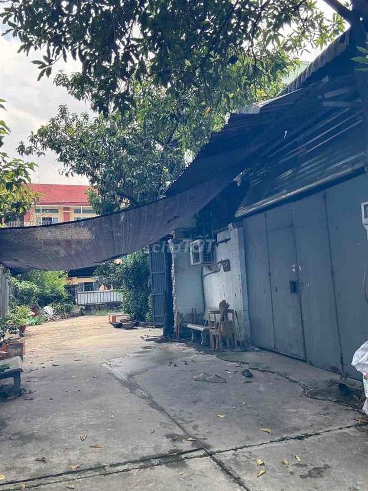 Bán Xưởng 250m2 Có 80m2 Thổ Cư Đường Trần Văn Mười