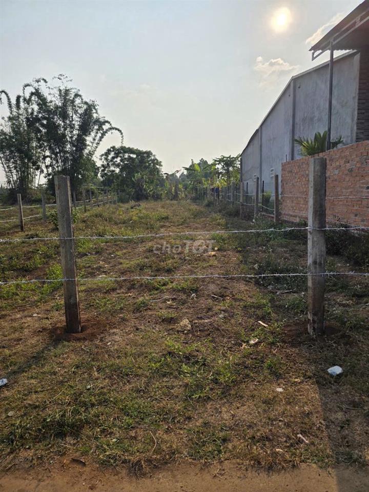 Cần bán đất