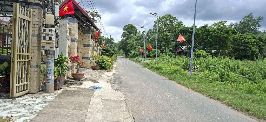 Bán đất thổ cư mặt tiền đường nhựa Tân Hải