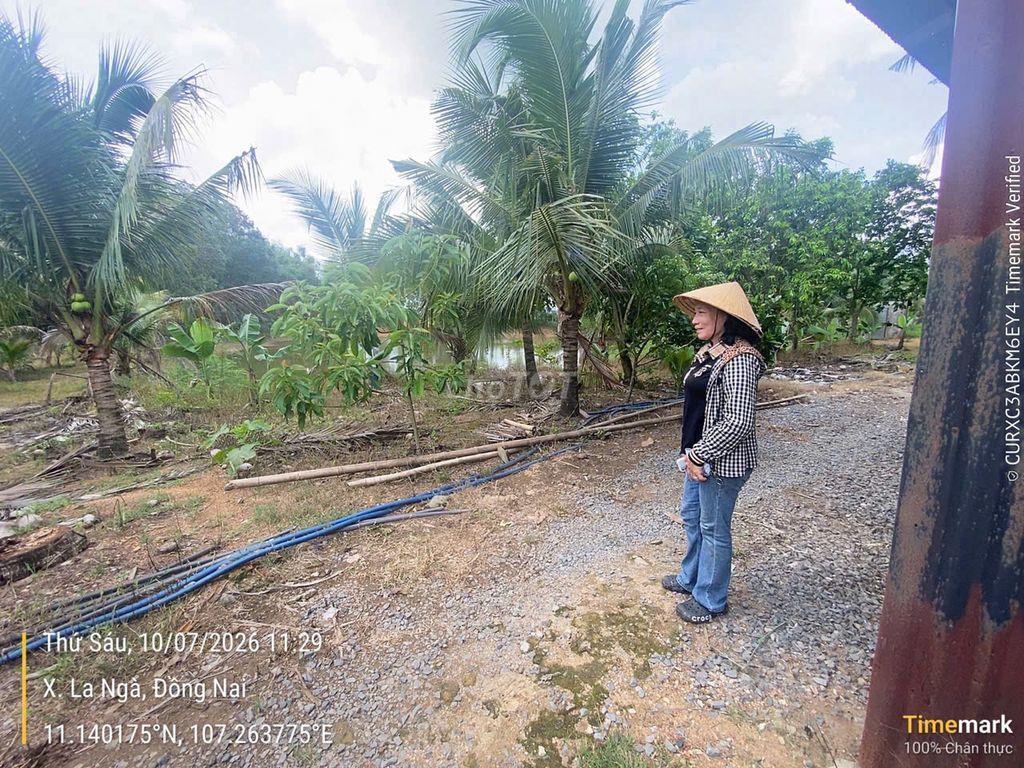 Đất nhà vườn và sinh thái Ngân hàng thanh lý giá rẻ