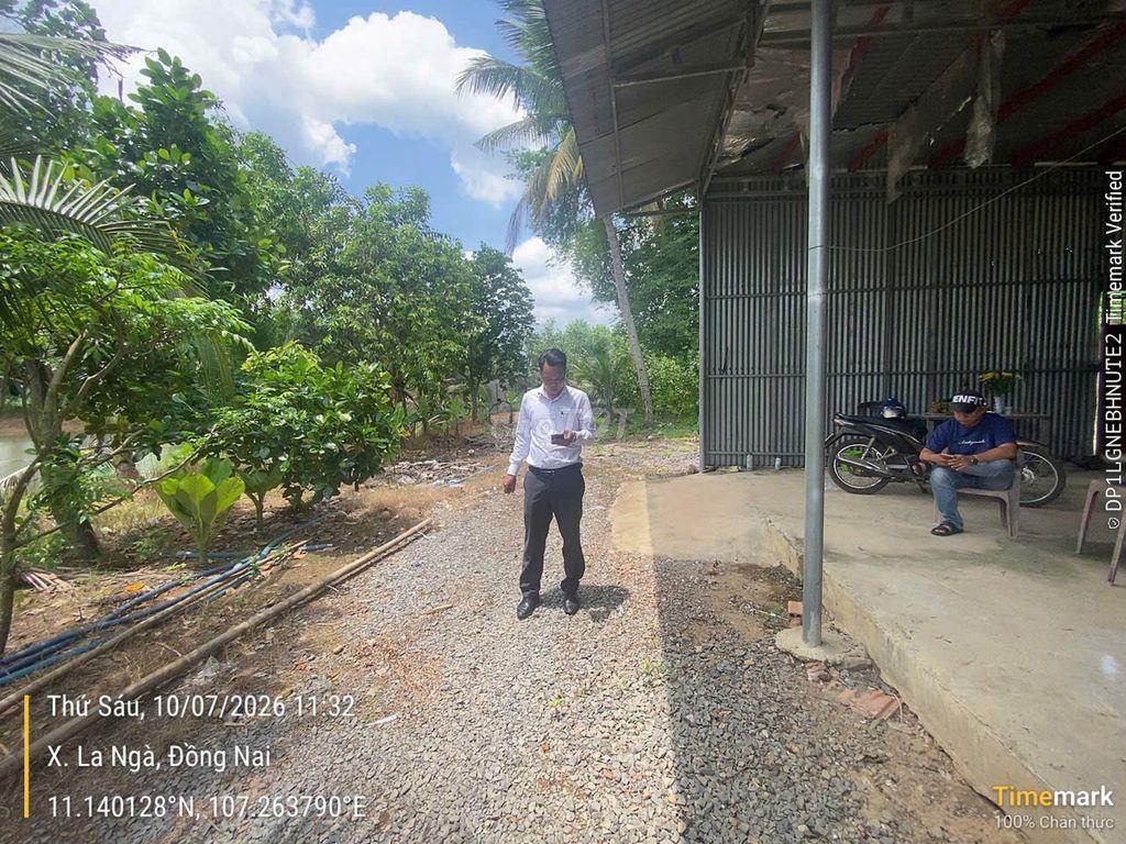 Đất nhà vườn và sinh thái Ngân hàng thanh lý giá rẻ