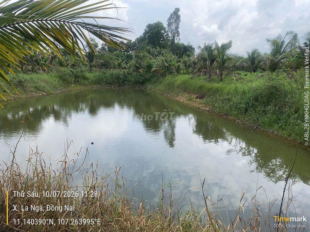 Đất nhà vườn và sinh thái Ngân hàng thanh lý giá rẻ
