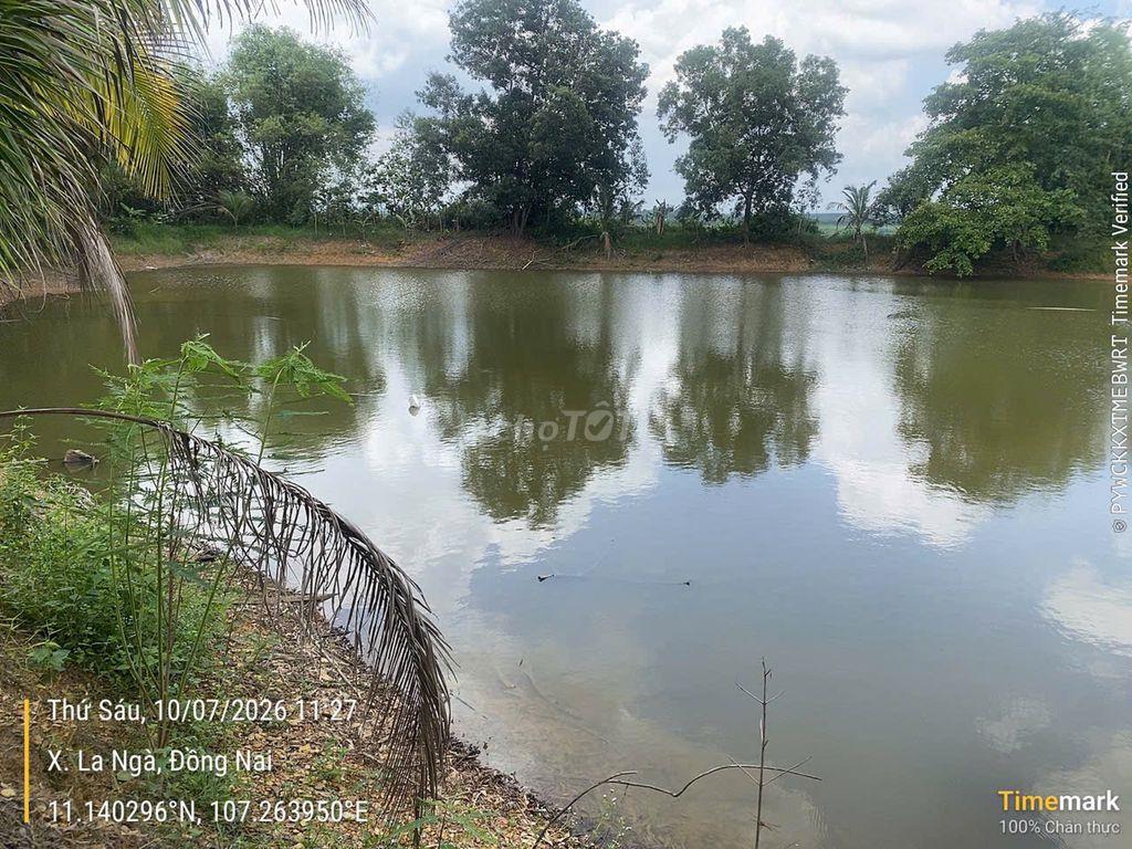 Đất nhà vườn và sinh thái Ngân hàng thanh lý giá rẻ