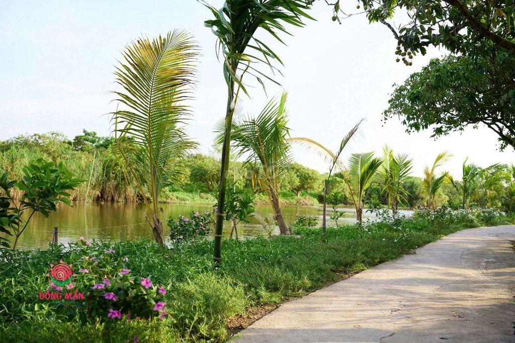 bán đất Thanh Hà 3600m2