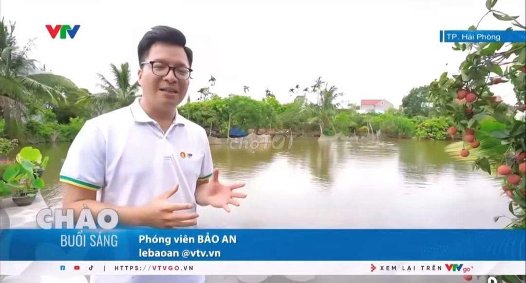 bán đất Thanh Hà 3600m2
