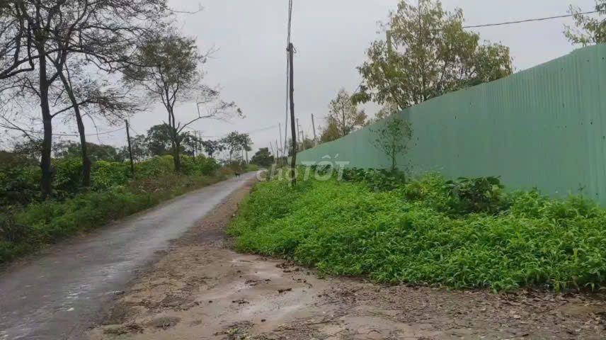 CHUYỂN NHƯỢNG MIA FARM GIA LAI 9,6 HA MẶT TIỀN ĐƯỜNG NHỰA 380M