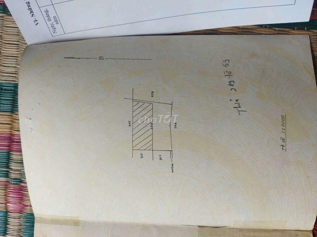 bán đất nông nghiệp 3000m xã Tân Nhựt