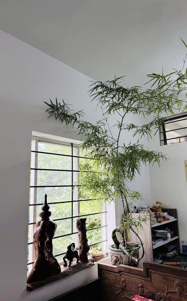 Quận 10 trung tâm - Trần Văn Kiểu, 50m2, 1PN Thang Bộ.