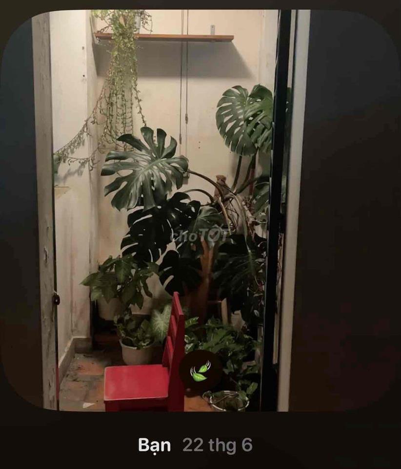 KHÔNG PHẢI SALE | pass ccu 2PN/1Wc | BINH THANH
