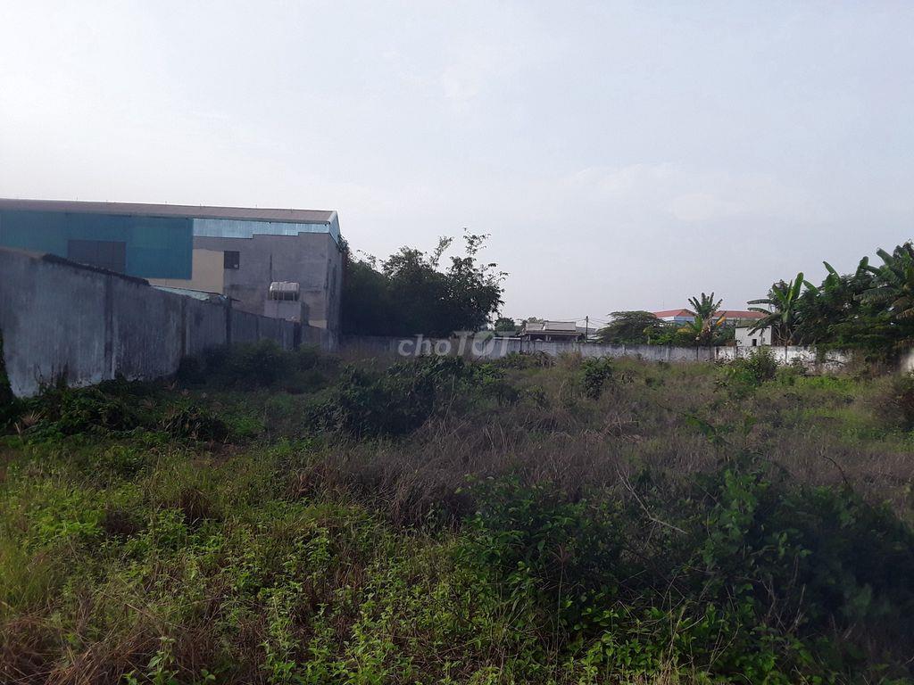 Đất tiềm năng