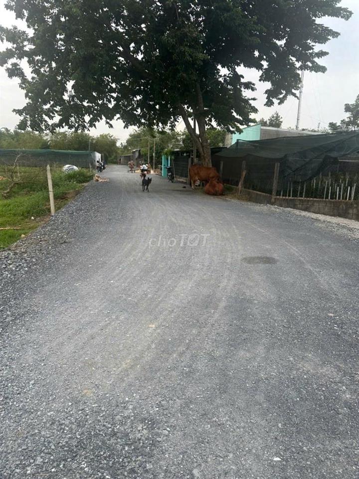 cần tiến bán gấp lô đất  như troing hình