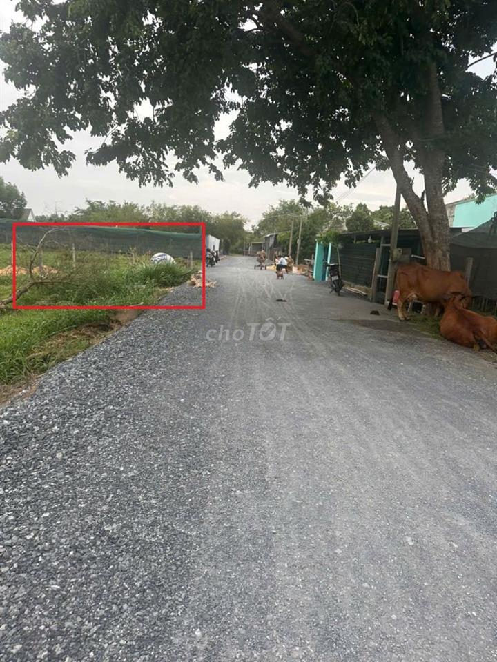 cần tiến bán gấp lô đất  như troing hình