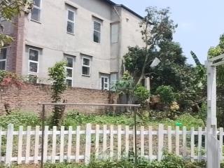 Cho thuê nhà 