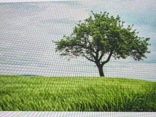 CHO THUÊ NHÀ RIÊNG TẦNG 1