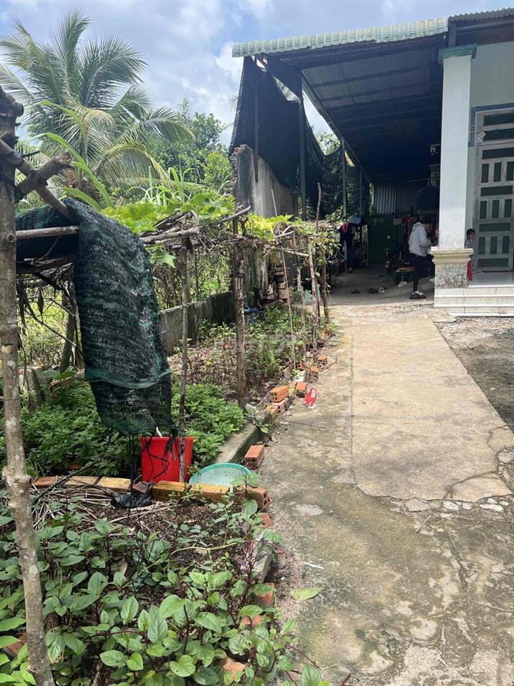 CHÍNH CHỦ BÁN ĐẤT TẶNG NHÀ GIÁ NGỘP
