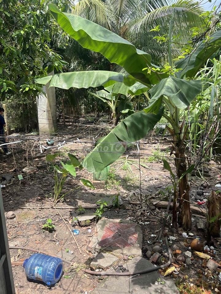 CHÍNH CHỦ BÁN ĐẤT TẶNG NHÀ GIÁ NGỘP